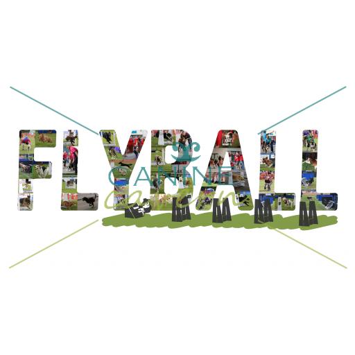 FLYBALL ARTWORK V2 - Watermarked-01.jpg